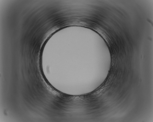 X0000097651139200803280923