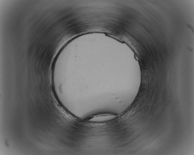 X0000097651140200803280923