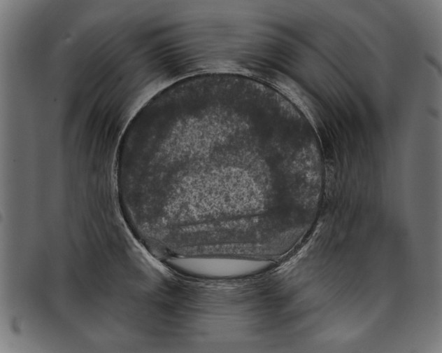 X0000097651141200803280923