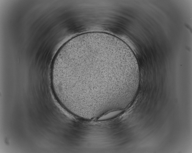 X0000097651142200803280923