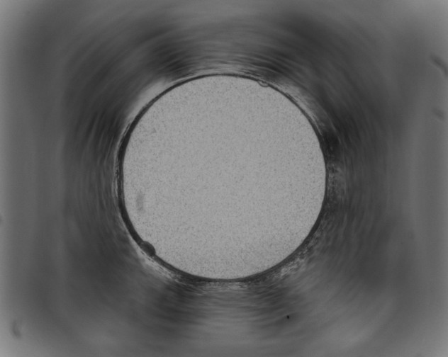 X0000097651143200803280923