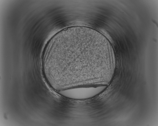 X0000097651144200803280923