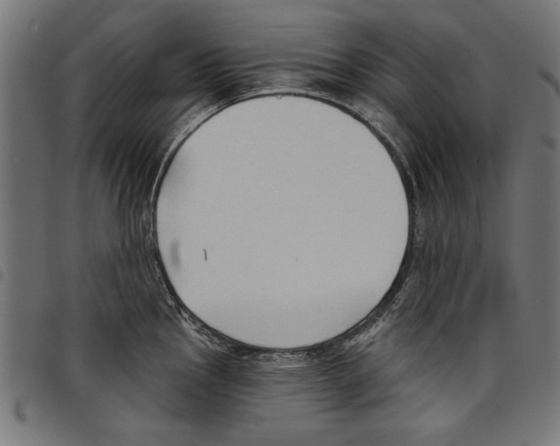 X0000097651145200803280923