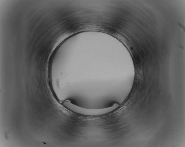 X0000097651147200803280923