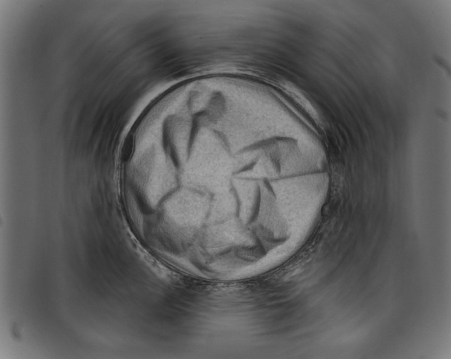 X0000097651148200803280923