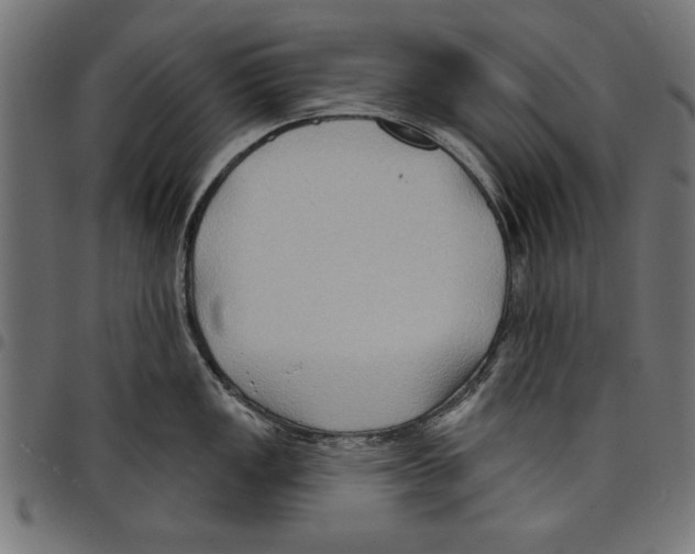 X0000097651149200803280923