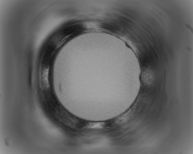 X0000097651150200803280923