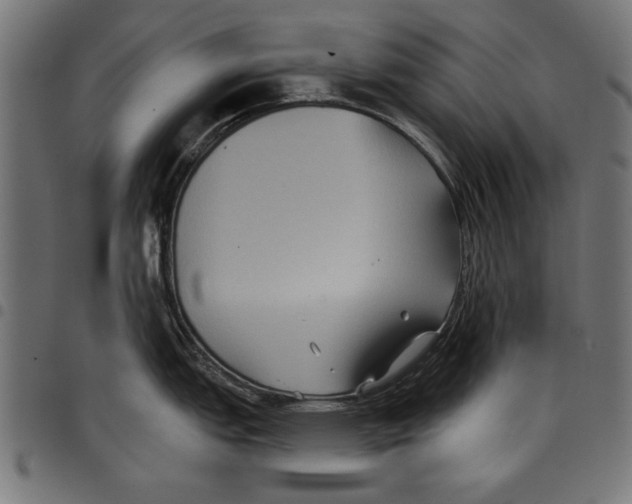 X0000097651151200803280923