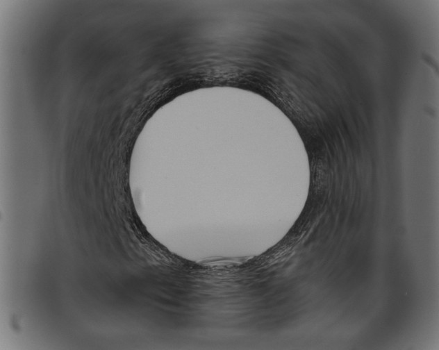 X0000097651153200803280922