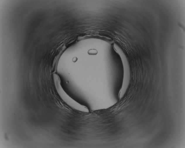 X0000097651154200803280922