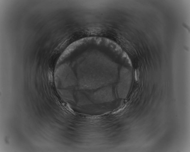 X0000097651155200803280922