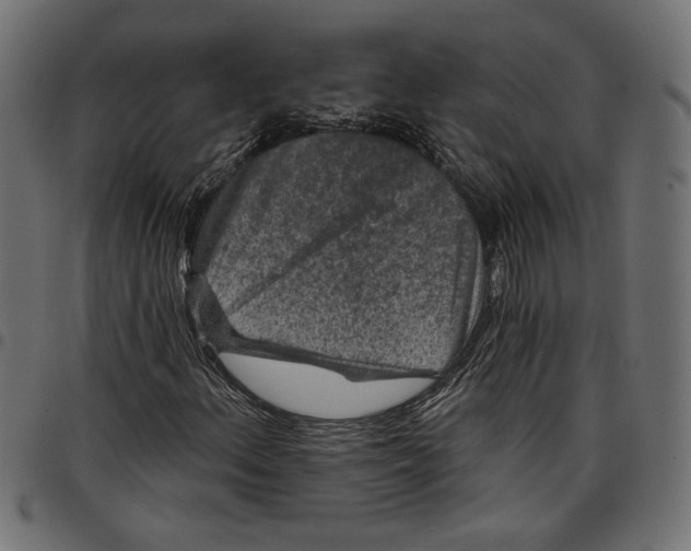 X0000097651156200803280922