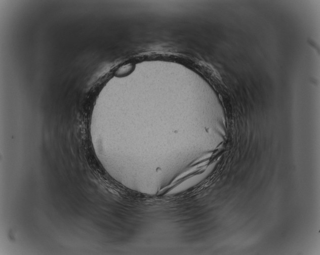 X0000097651159200803280922