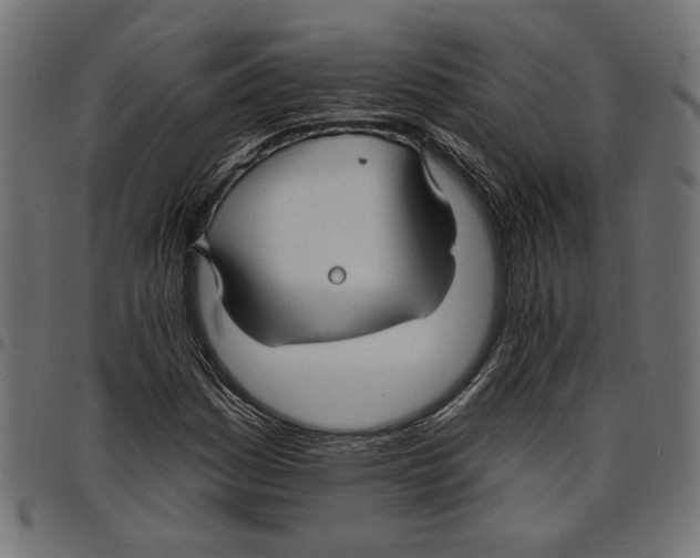 X0000097651161200803280922