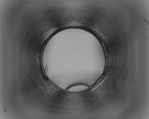 X0000097651162200803280922