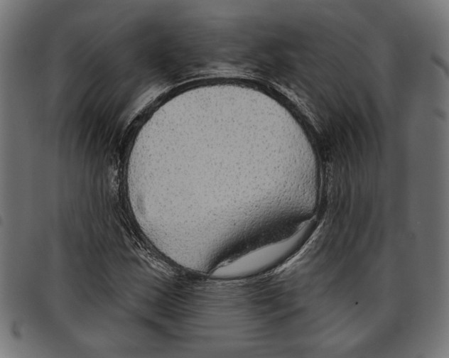 X0000097651163200803280922