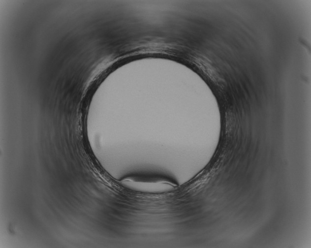 X0000097651164200803280922