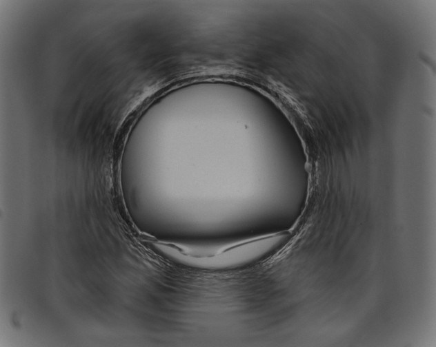 X0000097651165200803280922