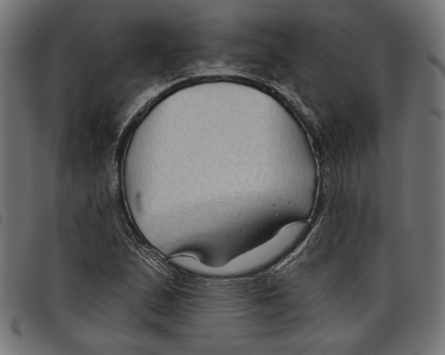 X0000097651167200803280922