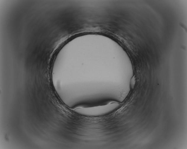 X0000097651168200803280922