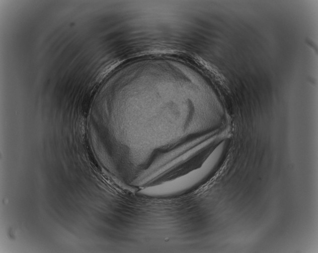 X0000097651169200803280922