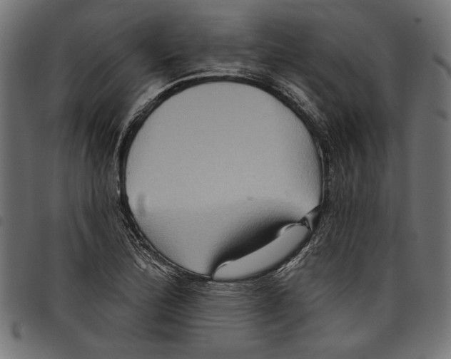 X0000097651172200803280922