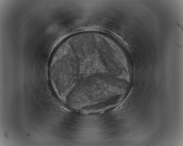 X0000097651174200803280922