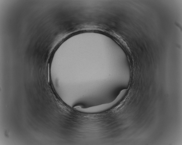 X0000097651175200803280922