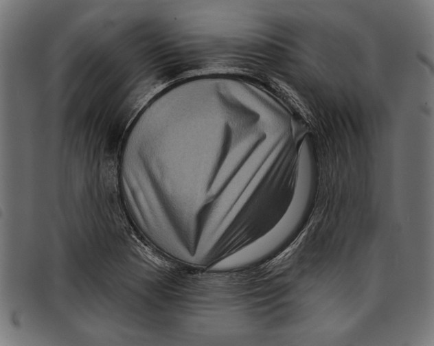 X0000097651177200803280922