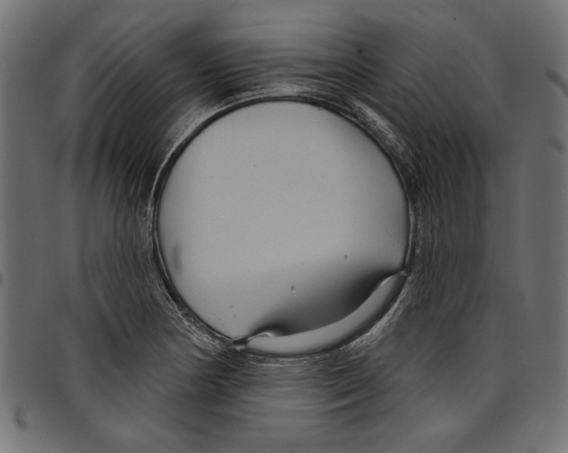 X0000097651178200803280922