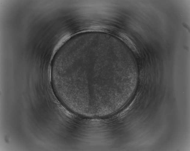 X0000097651180200803280922