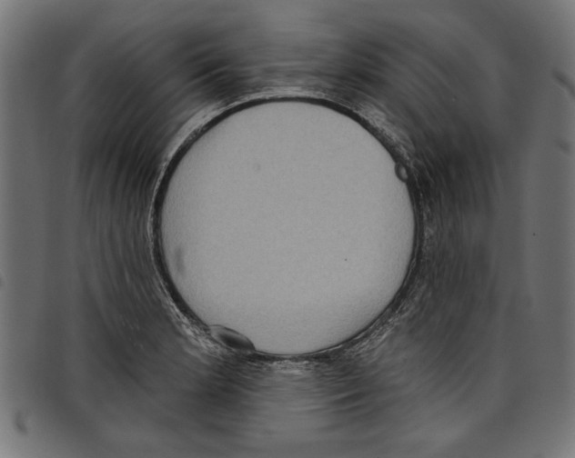 X0000097651181200803280922