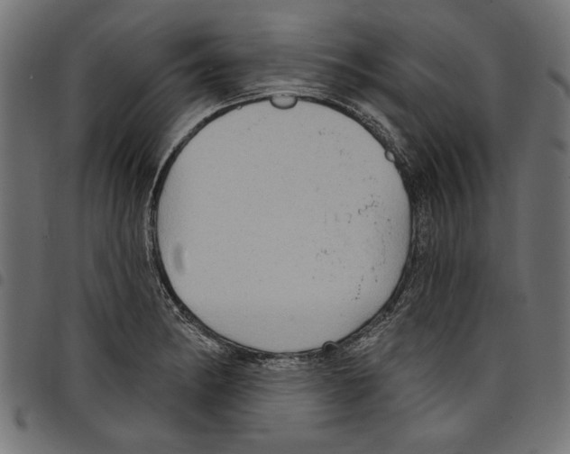 X0000097651182200803280922