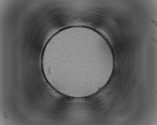 X0000097651183200803280922