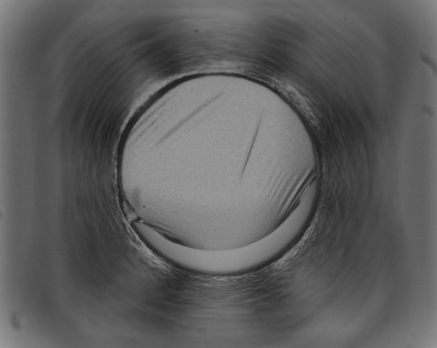 X0000097651184200803280922