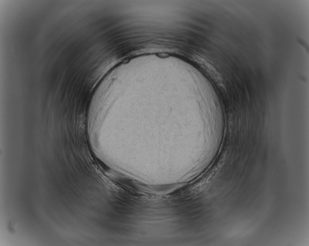 X0000097651185200803280922