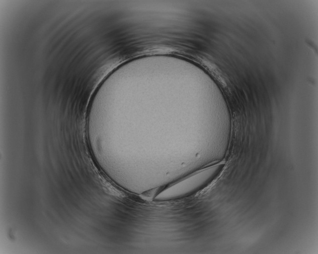 X0000097651186200803280922