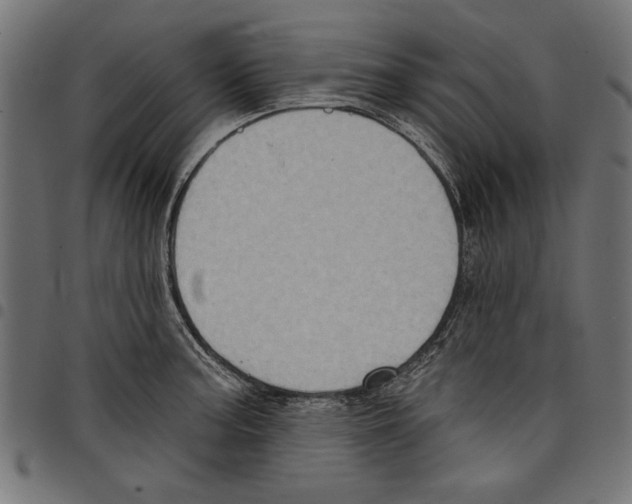 X0000097651187200803280922