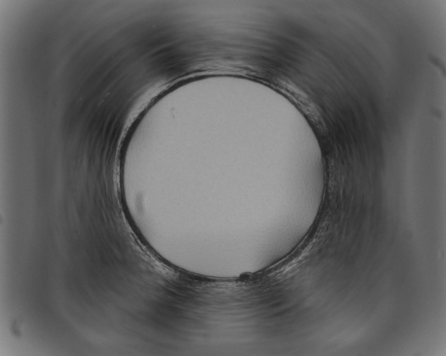 X0000097651188200803280922