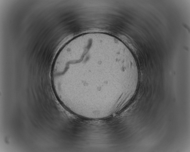 X0000097651189200803280922