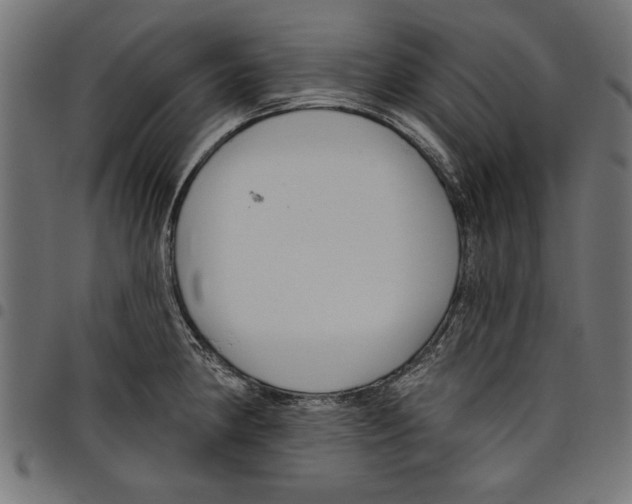 X0000097651190200803280922