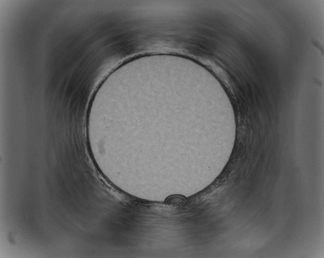 X0000097651191200803280922