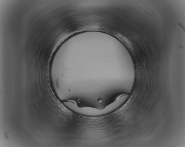 X0000097651192200803280922