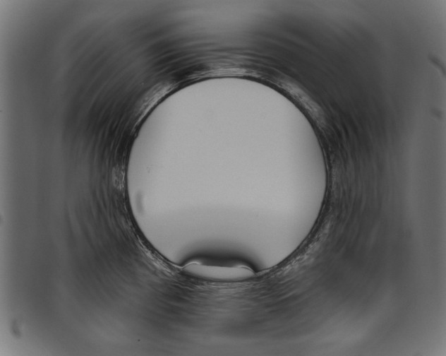 X0000097651193200803280922