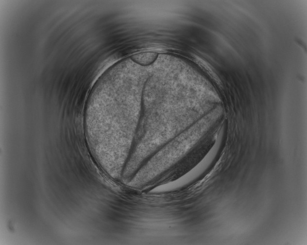 X0000097651194200803280922