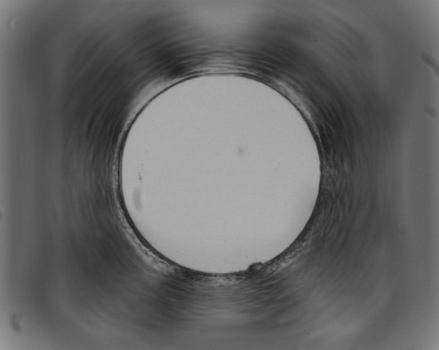 X0000097651195200803280922