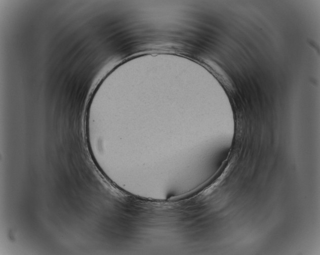 X0000097651196200803280922