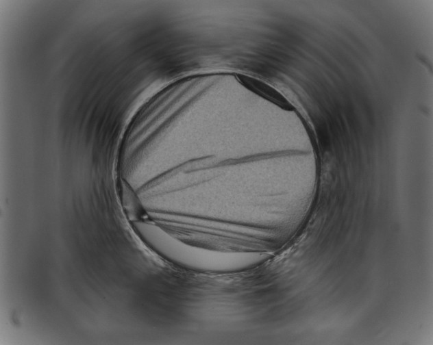 X0000097651197200803280922