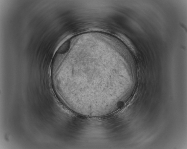 X0000097651198200803280922