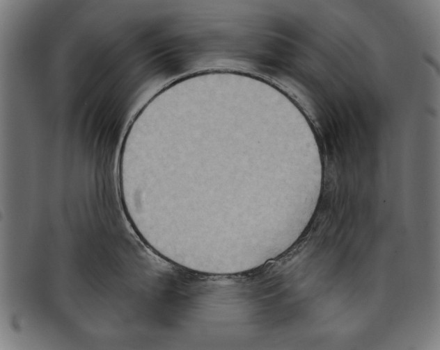 X0000097651199200803280922